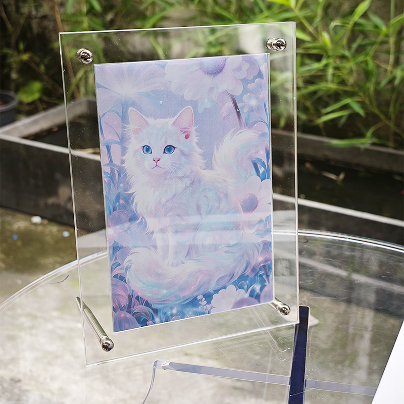Light Luxury Transparent Acryl - Luxury Lifestyle Homes Photos 评论和价格