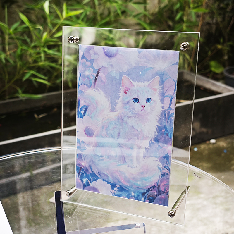 Light Luxury Transparent Acryl - Luxury Lifestyle Homes Photos 评论和价格